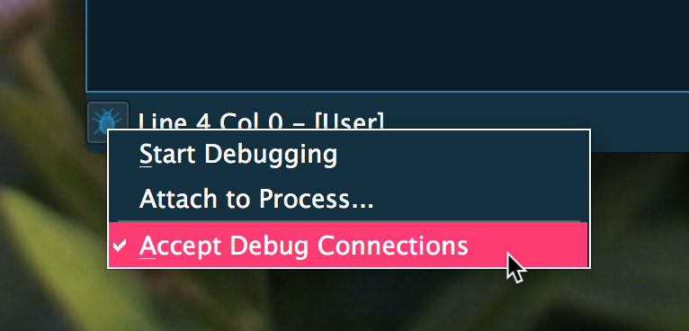 /images/blog/aws-2/debug-menu.png