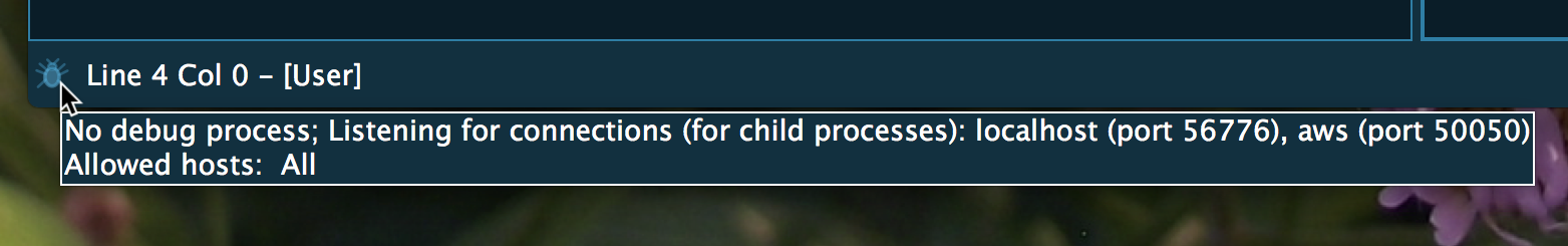 /images/blog/aws-2/debug-status.png